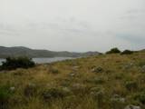 DSC08751